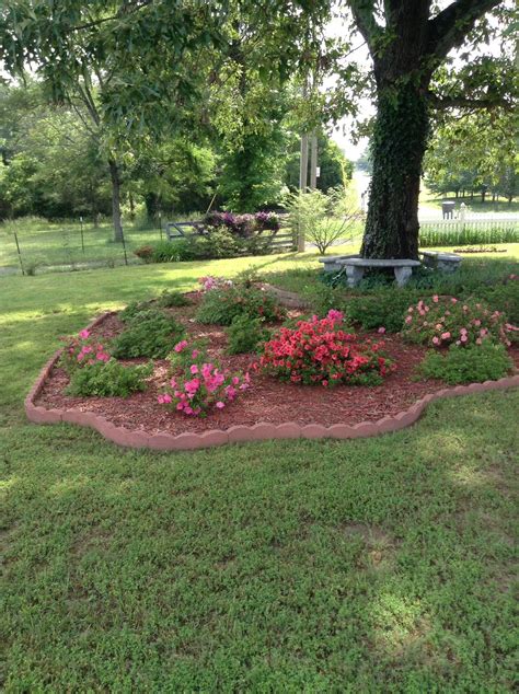 do trees in florida lose their leaves|landscaping under oak trees florida.